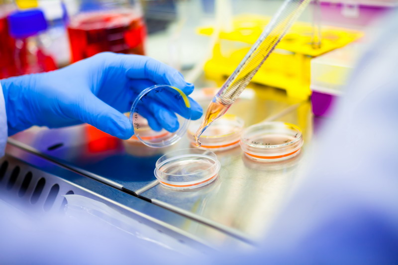 Successful Trials Advance the Cause of Stem Cell Research