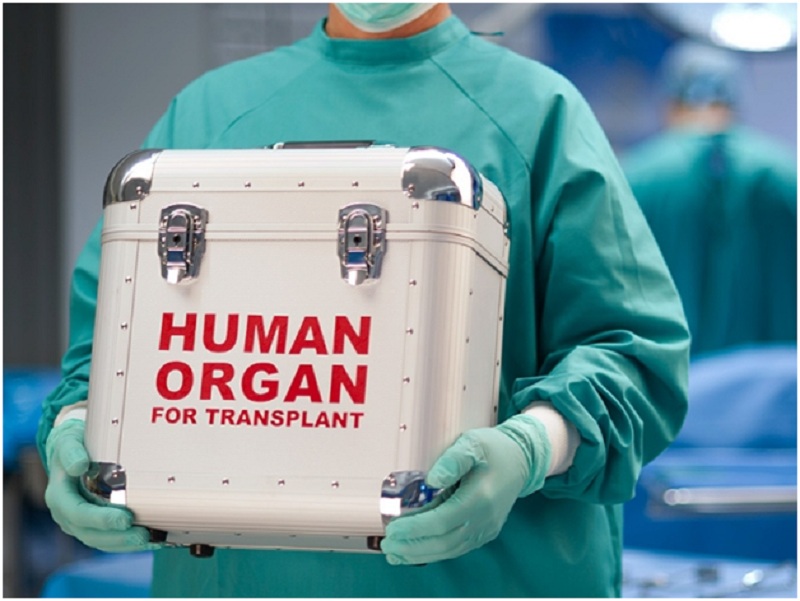 Excellent Deals with Organ Transplant and the Donations