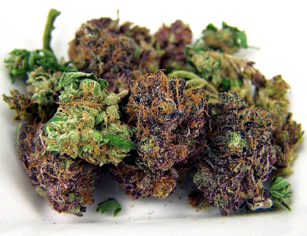 7 Recommendations That You Should Flow For Marijuana Intake
