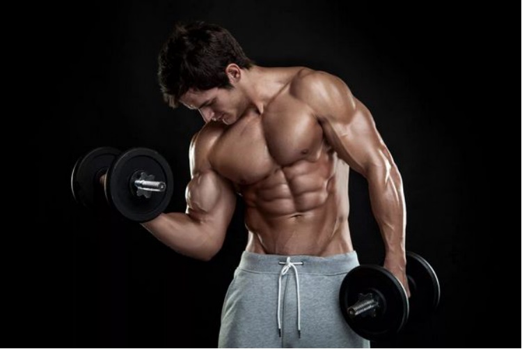 How to correctly and accurately dose Clenbuterol, instructions from highly qualified specialists