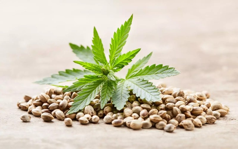 Is It possible To Buy THC seeds online?