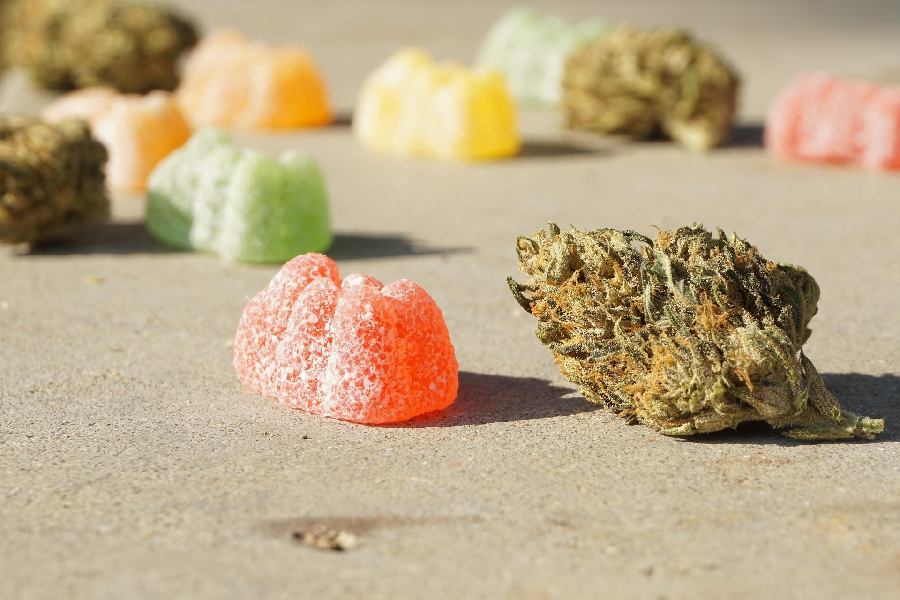 Are Vegan CBD gummies completely legal to buys? Let’s find out