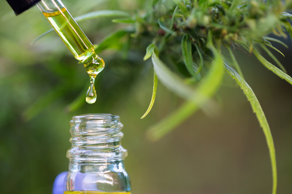 Essential Things To Note About CBD Oil 