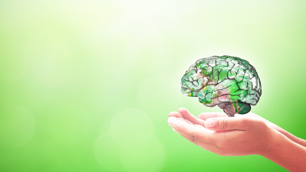 Therapy for Mental Health