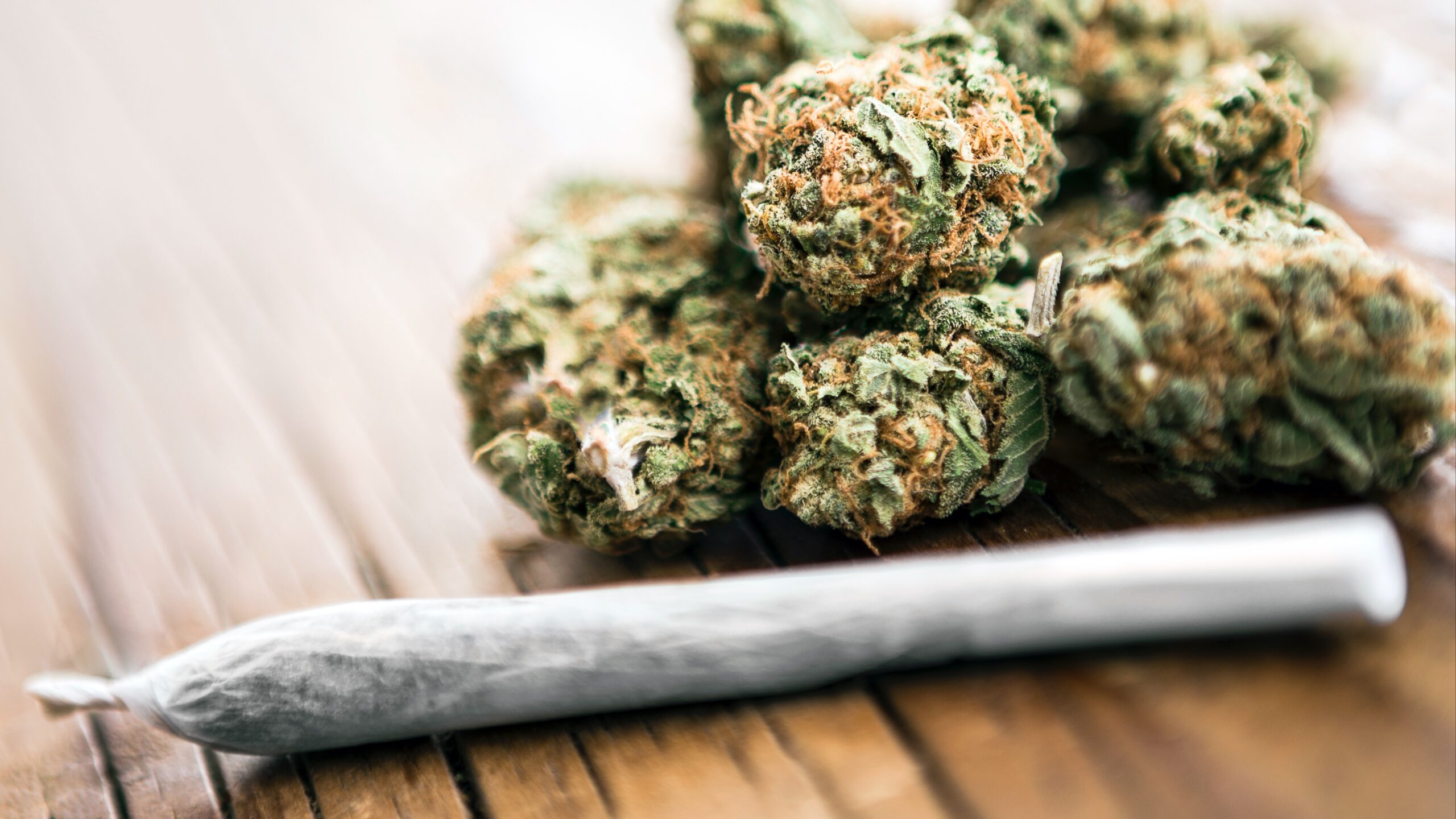 Best D8 THC Marijuana Dispensaries to Shop for Strains in 2022