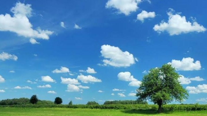 The Importance of Clean Air in Our Daily Lives