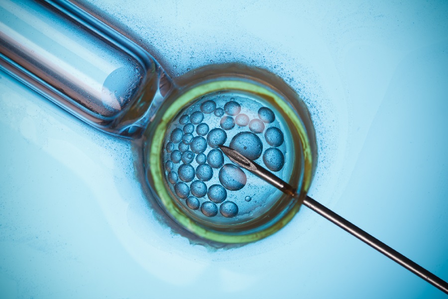 How Technology Is Transforming IVF, “Fertility In The Digital Age”