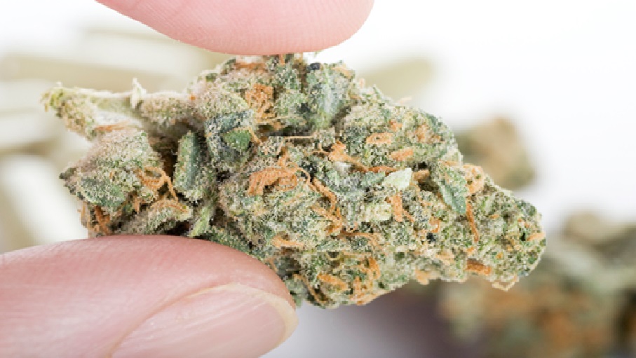 THCa